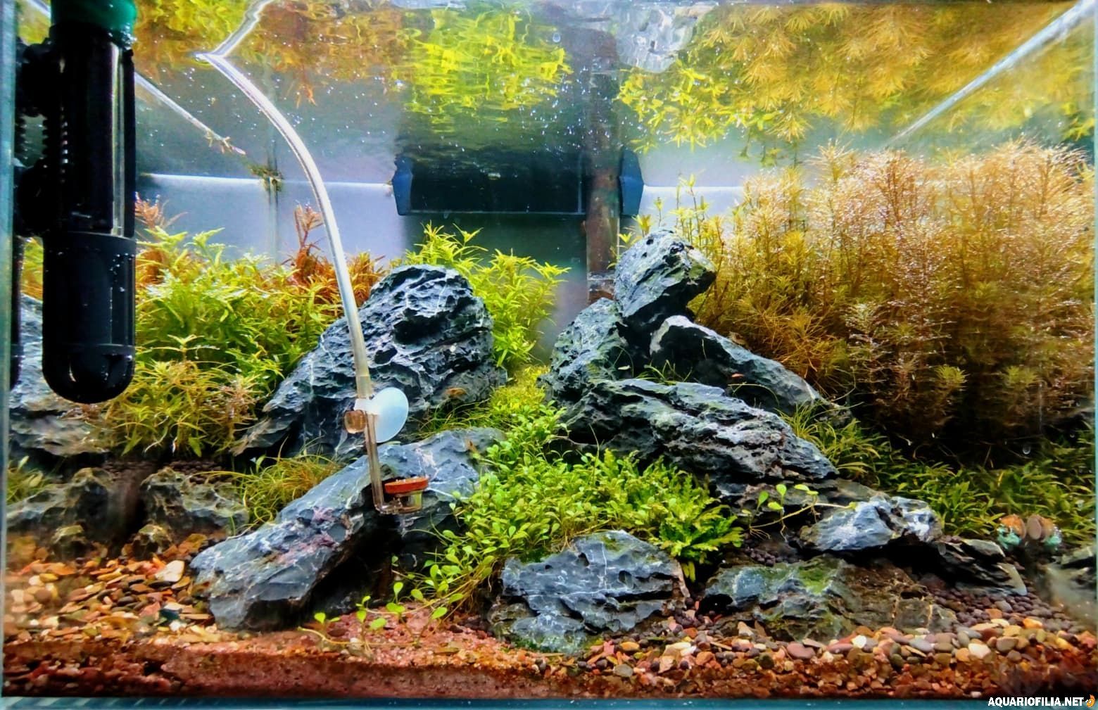 large.IMG-20251122.jpg.a2ffe970585bad09d