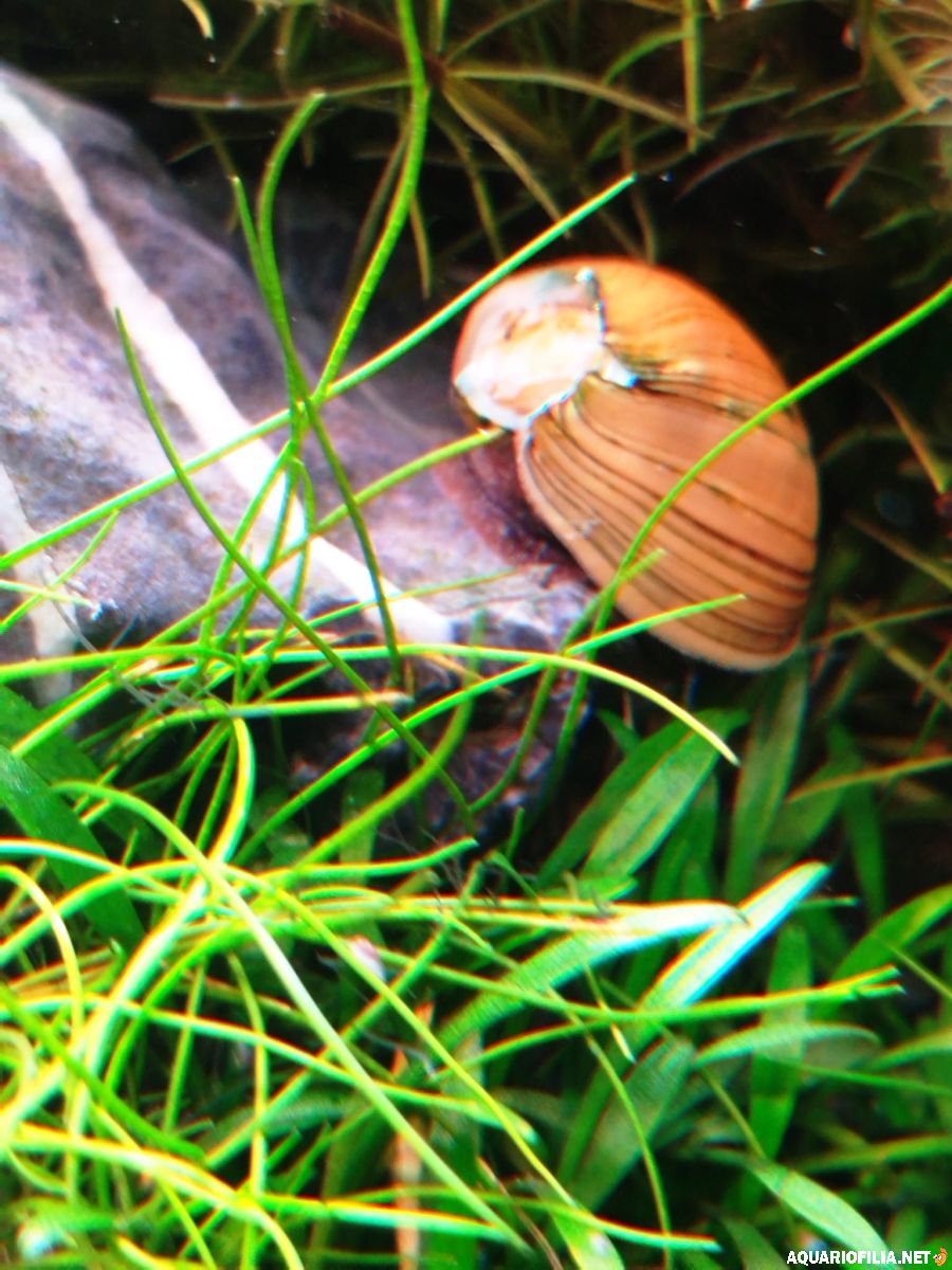 large.111220253.jpg.69c3a72bac33c3cfff8a