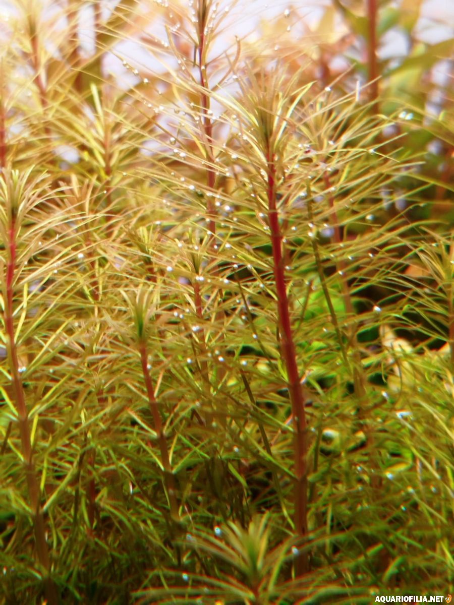 large.111220254.jpg.460b31738002c9f41268