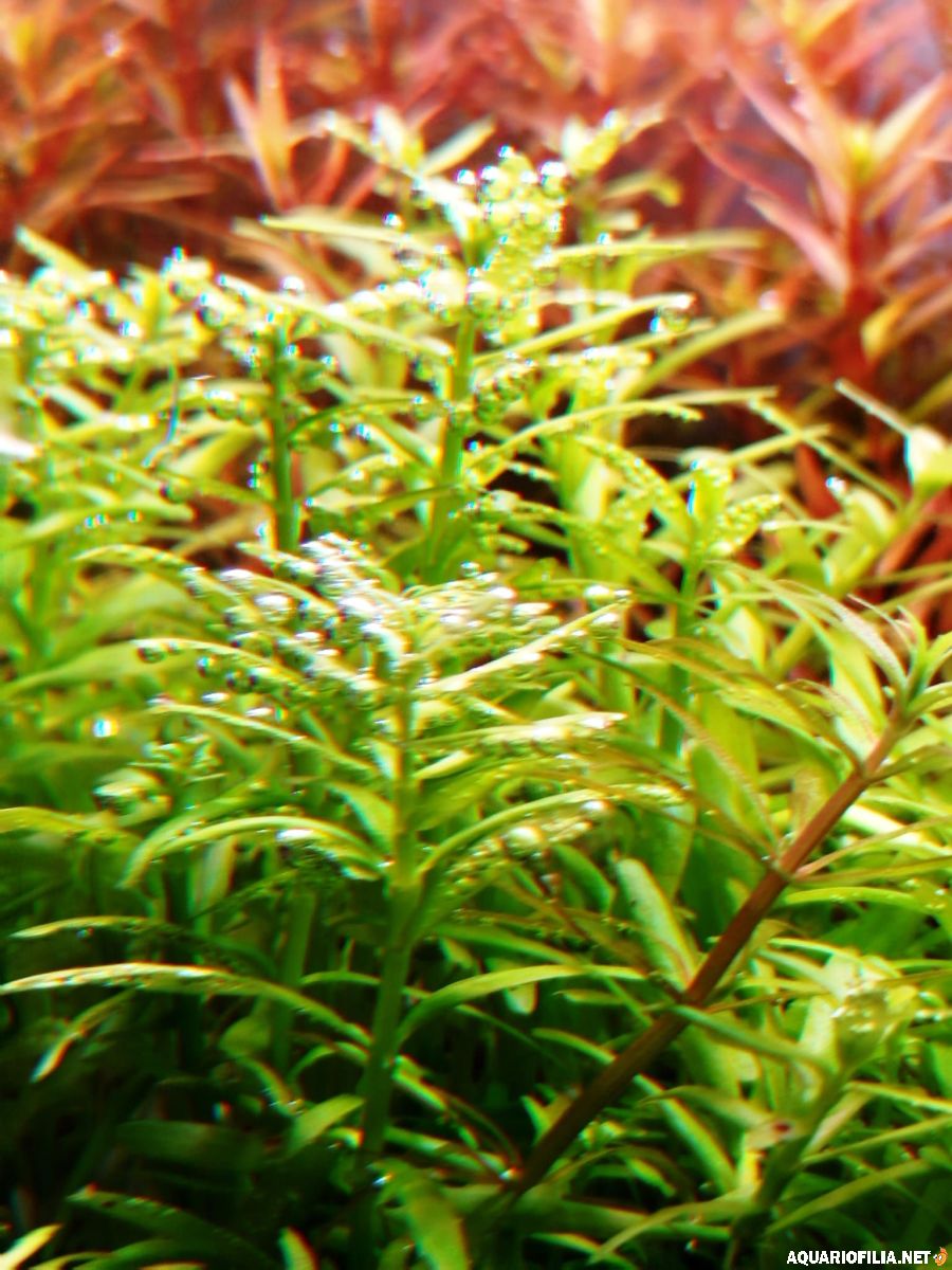 large.111220256.jpg.e73f1e88abc968d3d52e