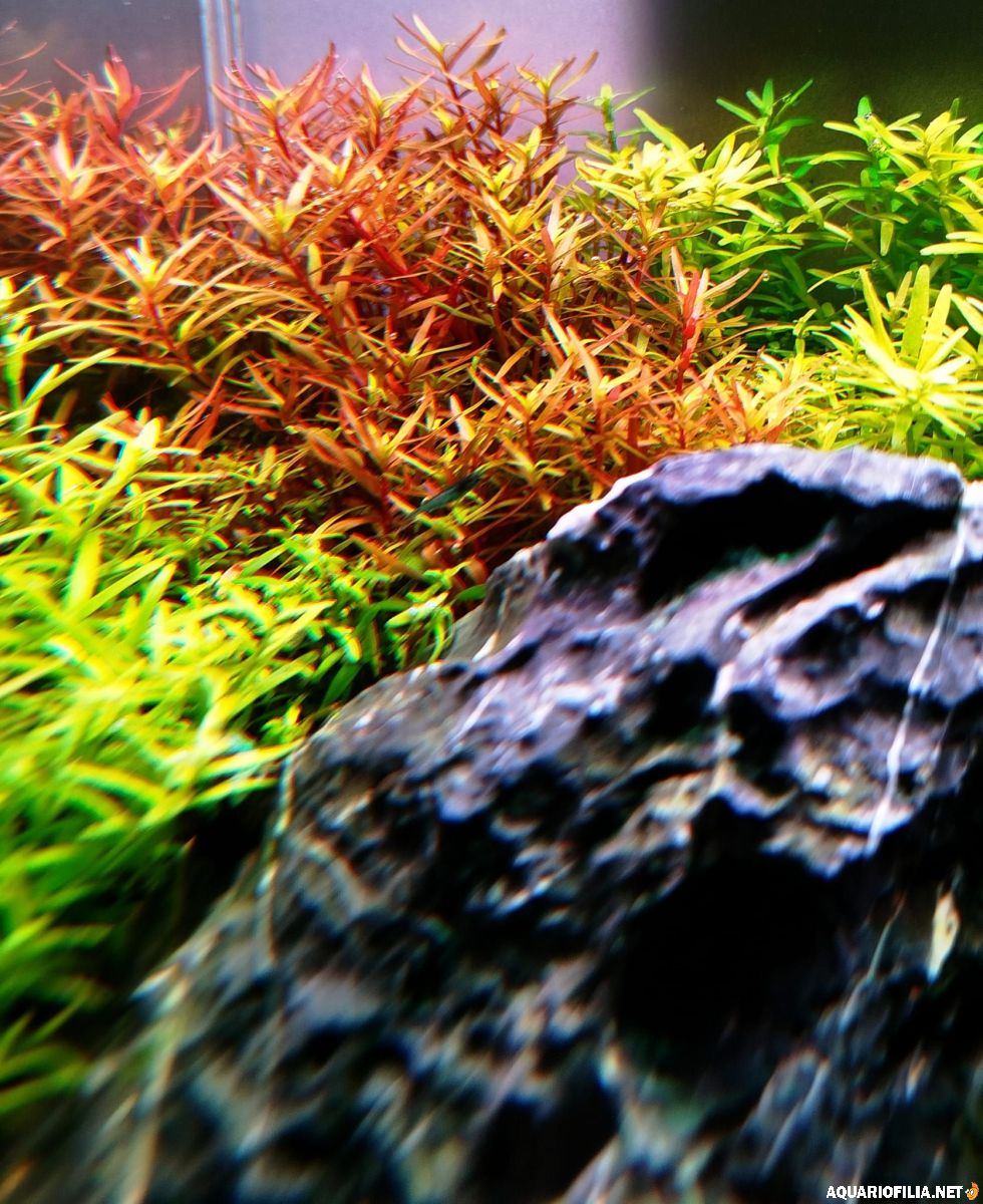 large.111220257.jpg.1fe8003c6ad3fbaf371c