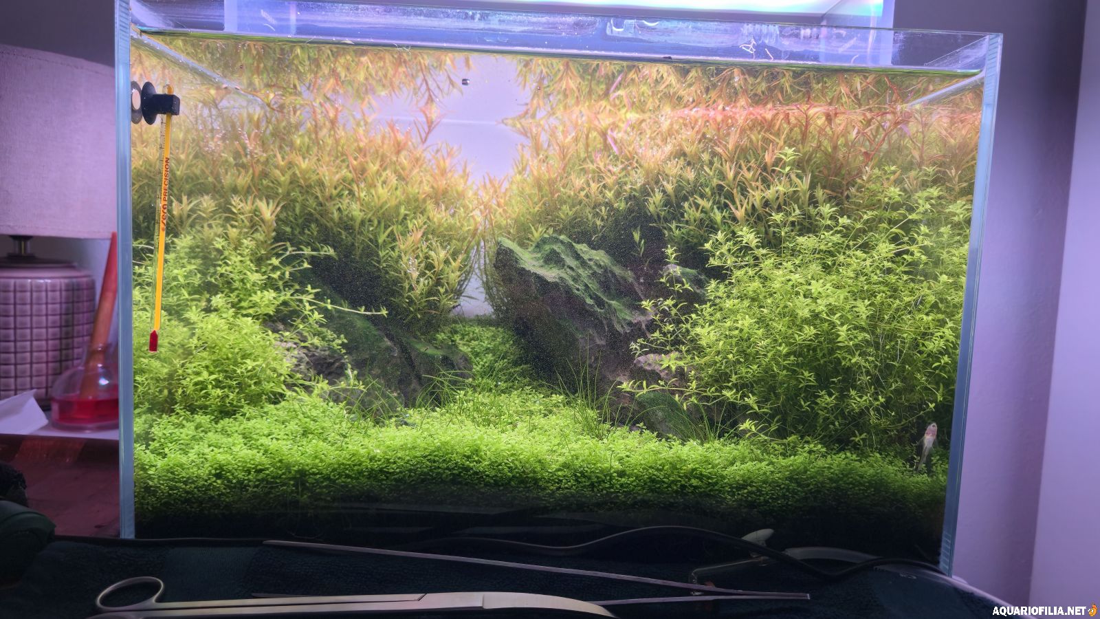 large.20260108_233029.jpg.c84f73029661f4