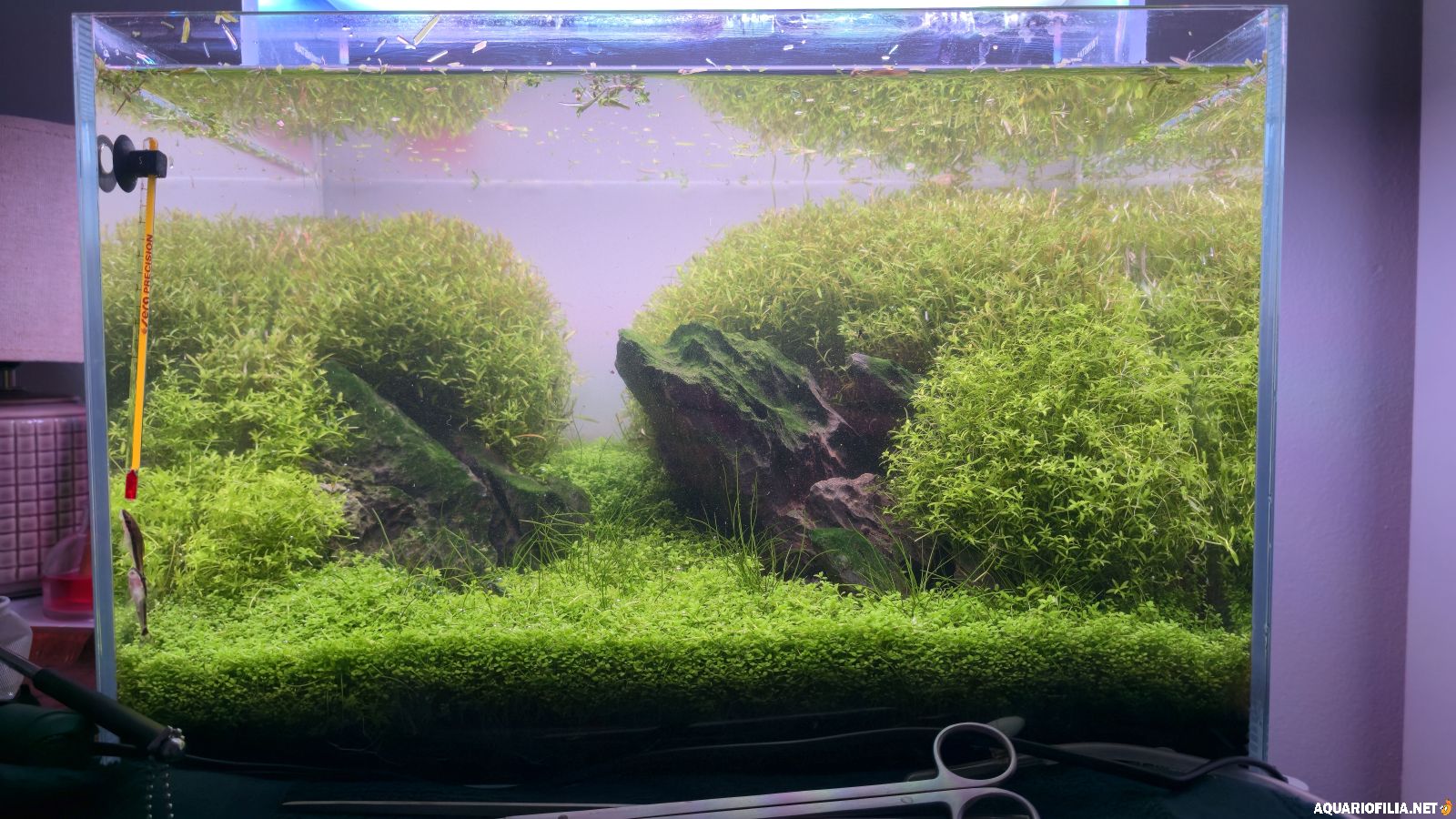 large.20260109_000515.jpg.ef41203617051f