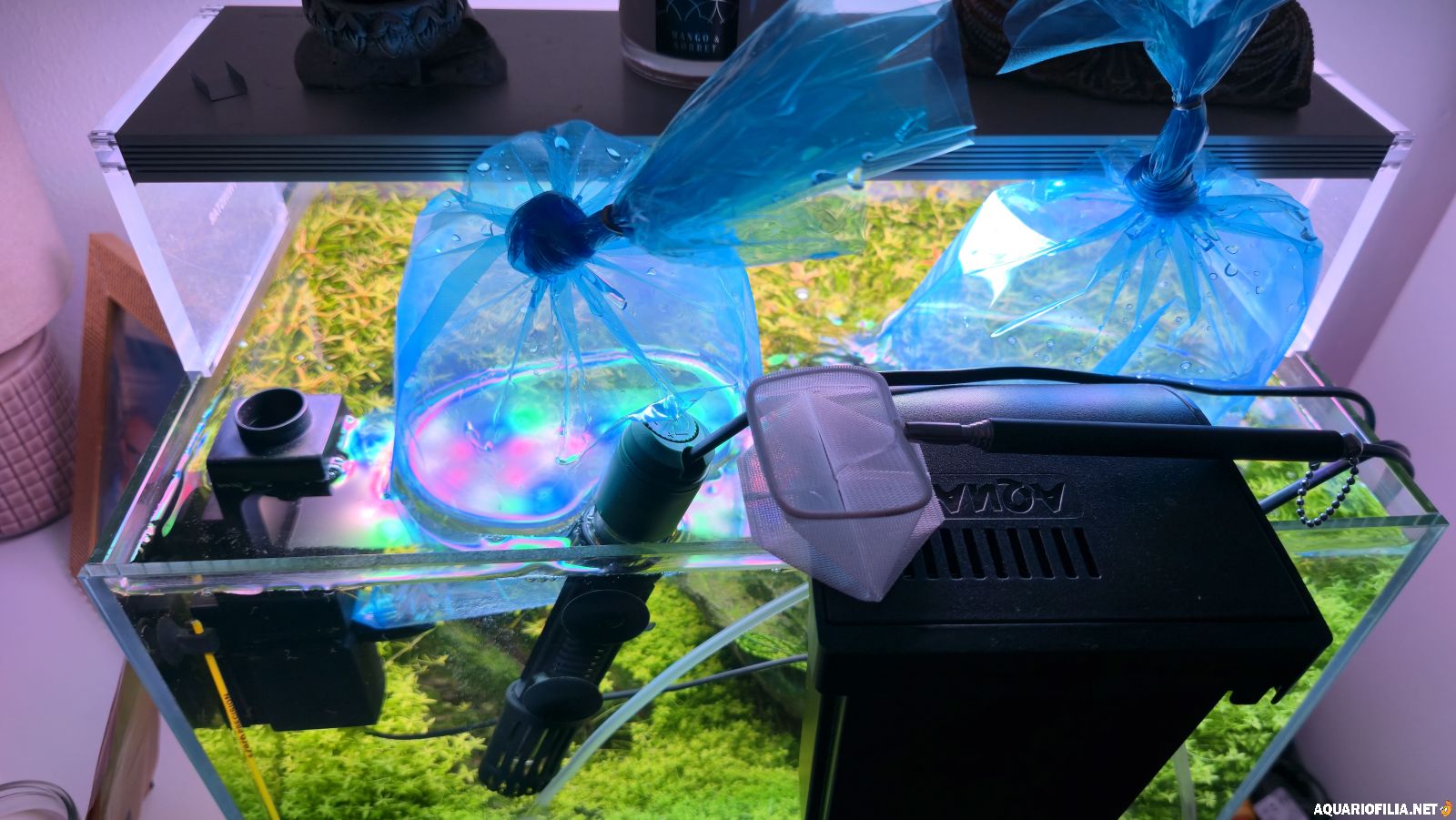 large.20260115_172445.jpg.52a8b547f3e0b4