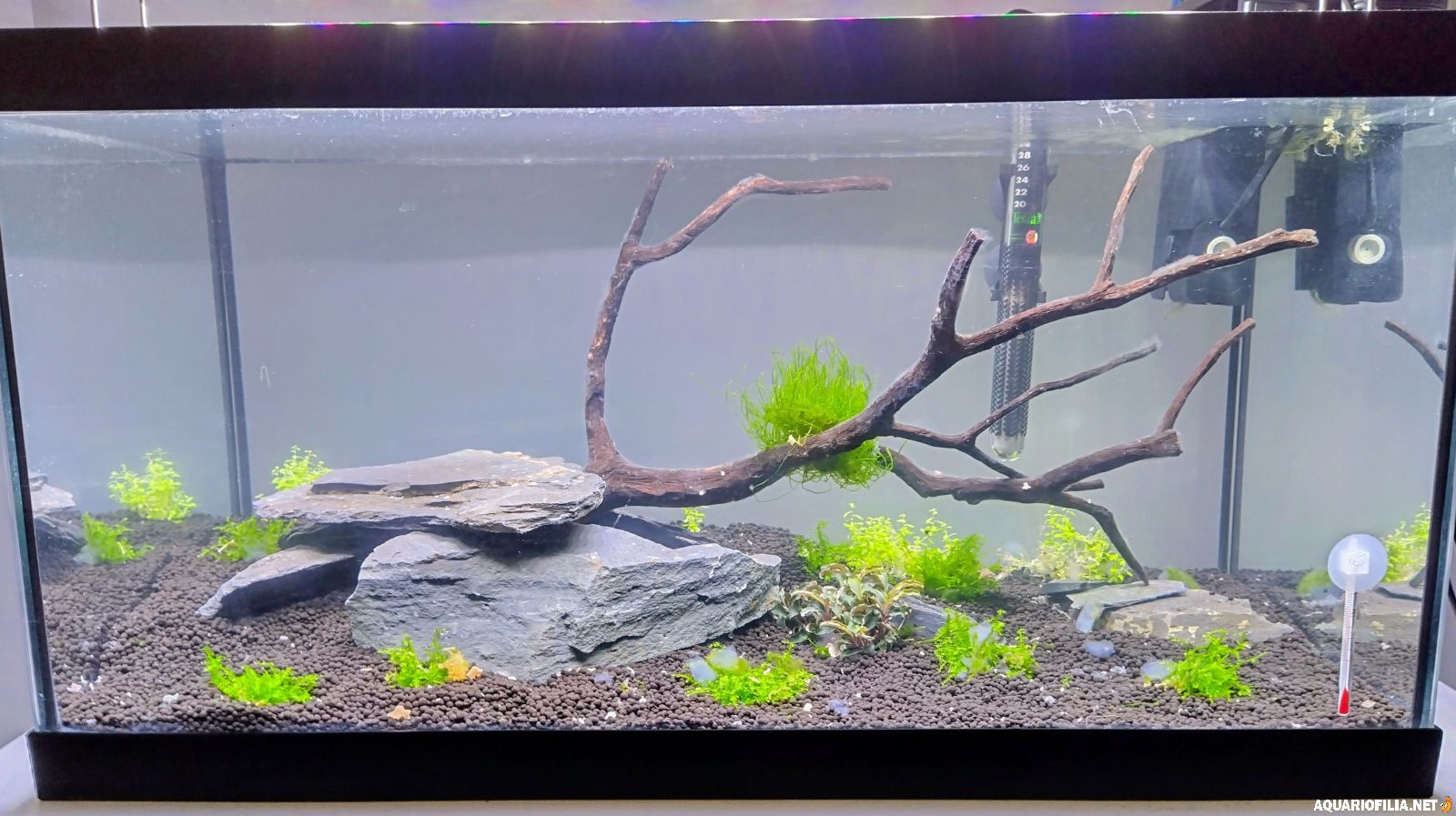 large.209346c4-f821-4987-8bfc-8426552787