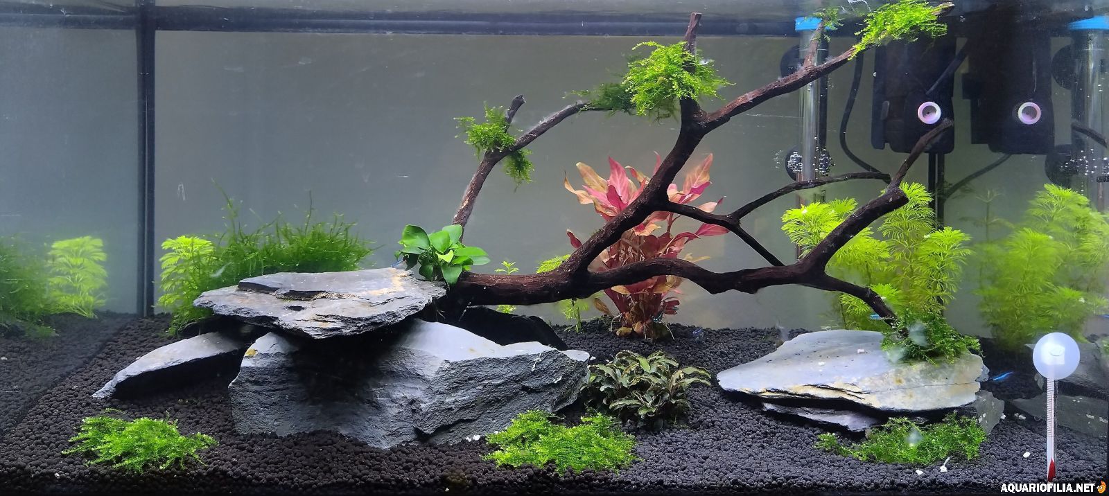 large.8fbebf0e-47b1-46a7-ac52-dc1b47b77f