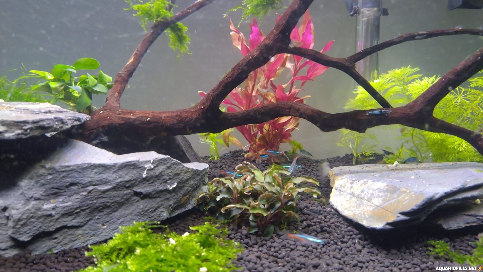 large.IMG-20260128-WA0016.jpg.946502d38c