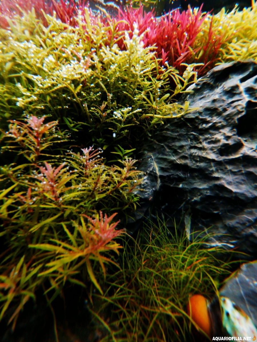 large.WhatsAppImage2026-01-15at07_46_05.