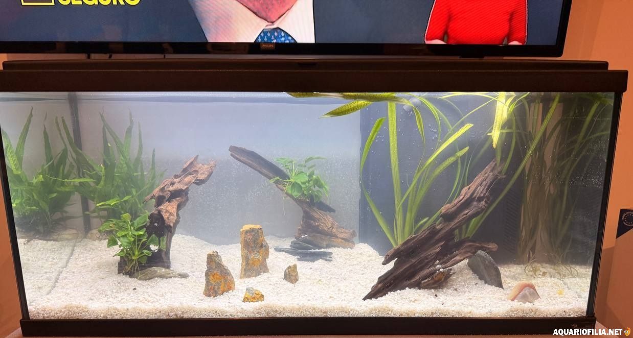 large.photo_2026-01-11_20-03-07.jpg.a0b0