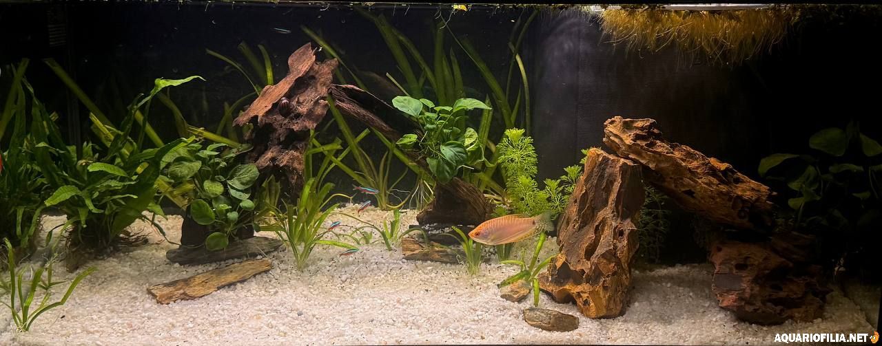 large.photo_2026-01-25_23-47-39.jpg.8ef8