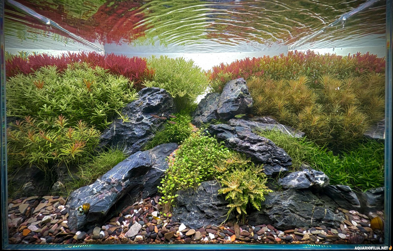 large.IMG_2797(1).jpg.b9eed5186f37bf7e60