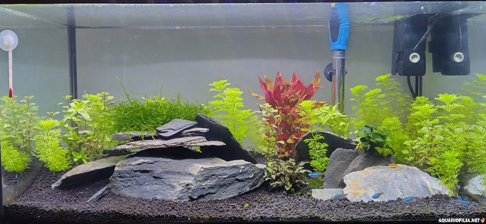 large.e5d7c306-9829-47b1-ae82-4633c9ac3d