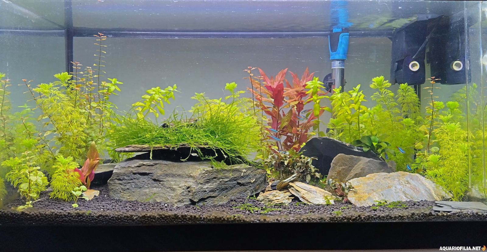 large.6f3da1e5-d2f5-401b-b3de-c6631291cf