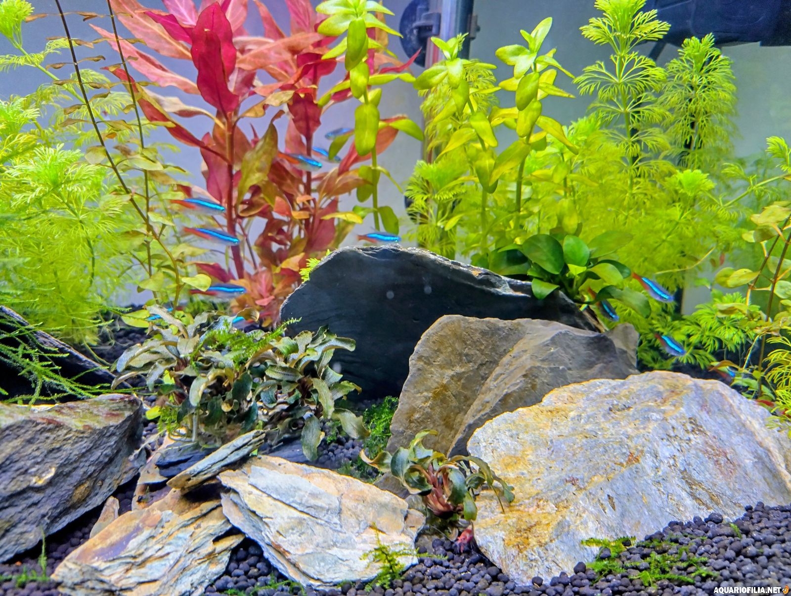 large.7badb845-0bbb-4ed0-ae50-1922211405