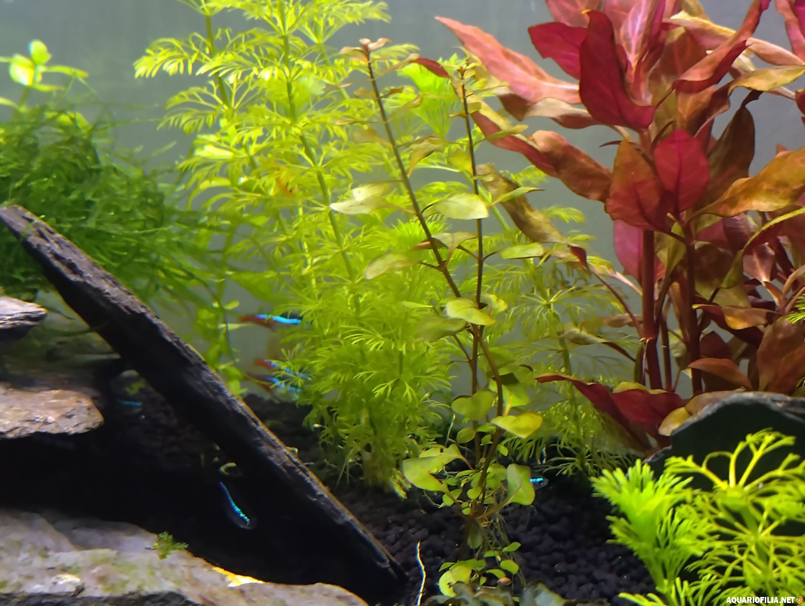 large.IMG_20260302_210039_HDR.jpg.2877d6