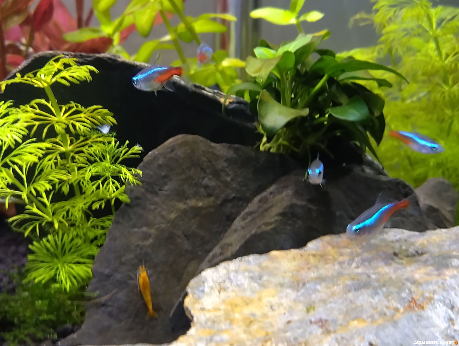 large.IMG_20260303_140029_HDR.jpg.389d26