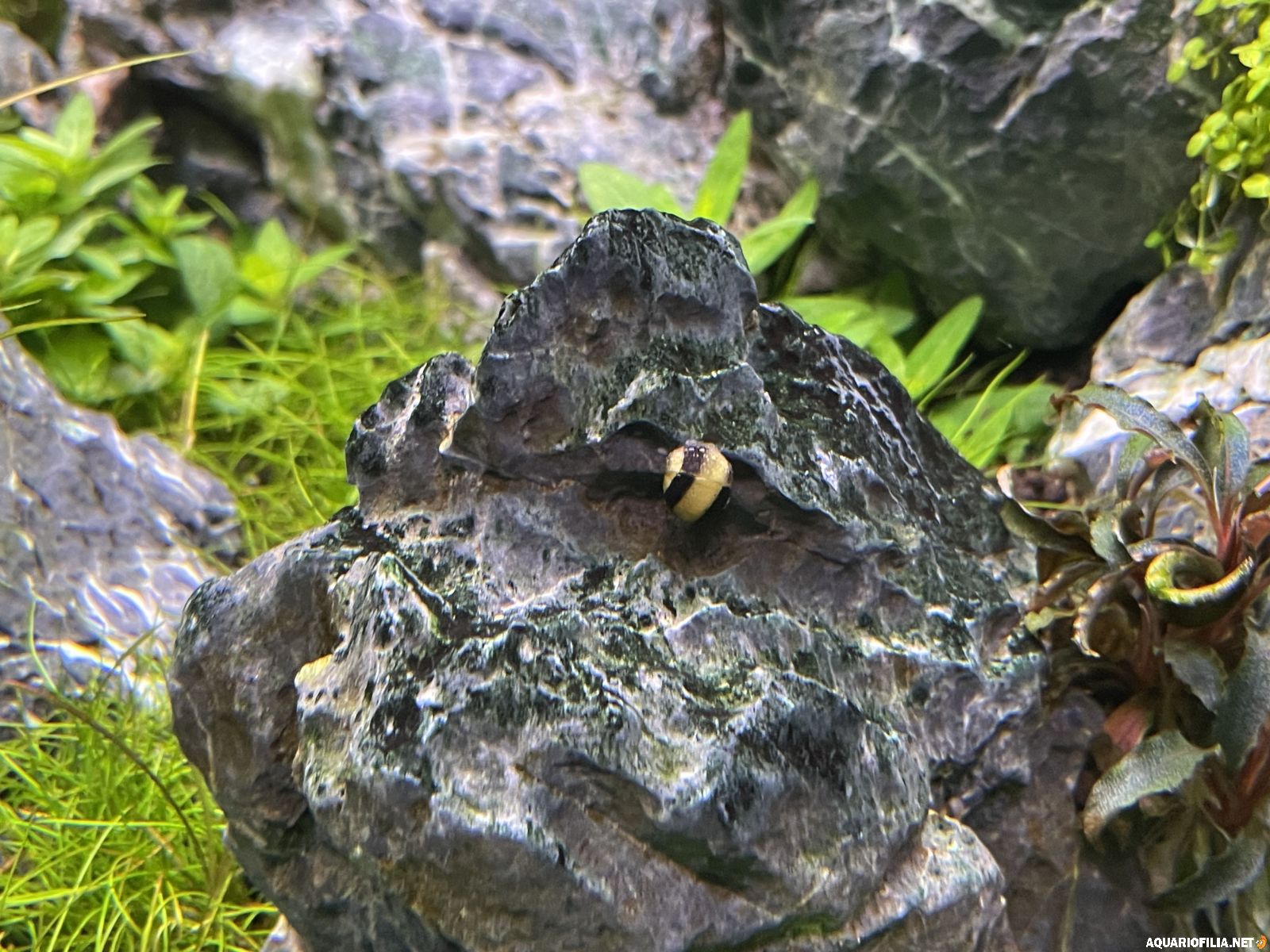 large.IMG_7143.jpeg
