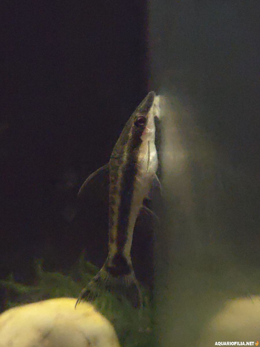 large.20260821_140839.jpg