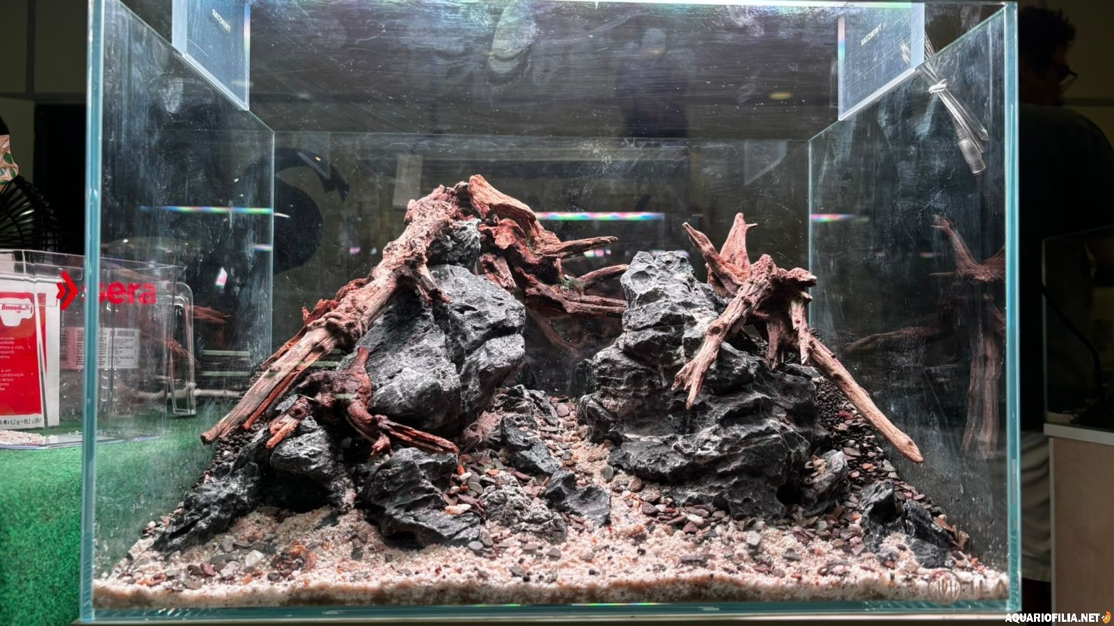 large.Aquascapefinal.jpg