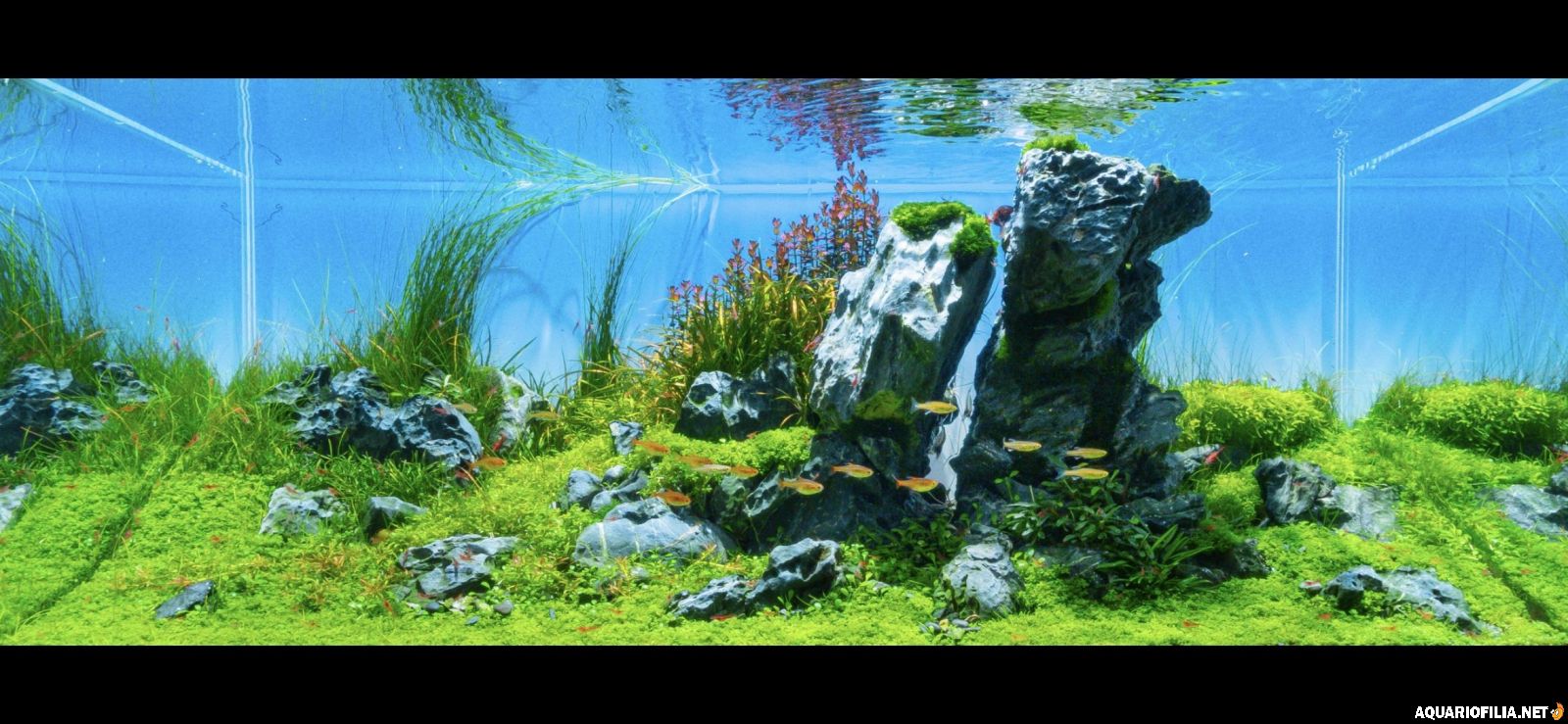 large.Screenshot_20261025_125755_Gallery.jpg