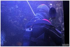 oceanario 20