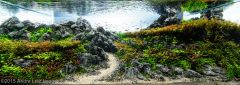 Top2-Entry #170-Faith.jpg