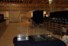 Montagem PETFESTIVAL 2012