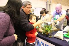 Concurso mini-aquarios plantados - GAD