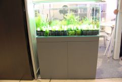 Stand da Aquaeden na PETFESTIVAL 2012