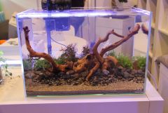 Stand da Aquaeden na PETFESTIVAL 2012
