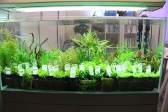 Stand da Aquaeden na PETFESTIVAL 2012