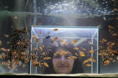 IMG_6363.JPG