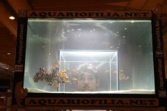 IMG_6051.JPG