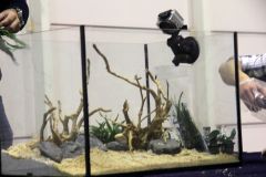 IMG 7985