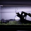 Glosso DryStart Day1.2