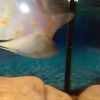 IMG 20131009 184440