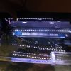 IMG 4716