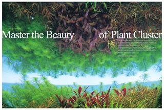 More information about "Master the beauty of plant cluster"