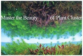 More information about "Master the beauty of plant cluster"