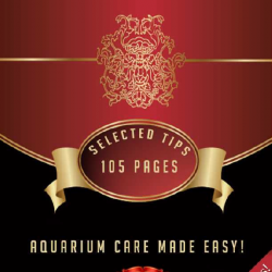 More information about "Aquarium Care Made Easy"