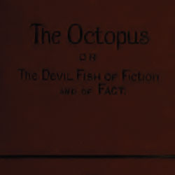 More information about "The octopus : or, the "devil-fish" of fiction and of fact (1875)"