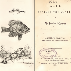 More information about "Life beneath the waters, or, The aquarium in America (1858)"