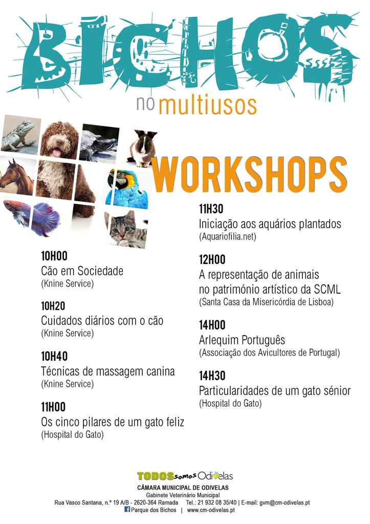 cartaz workshops.jpg