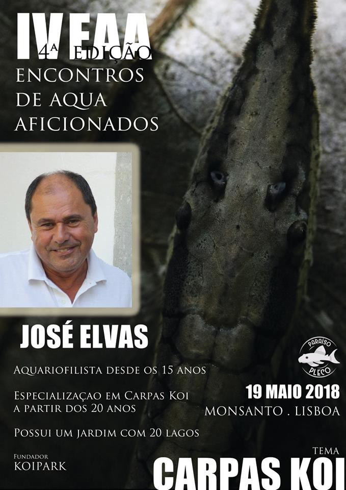 cartaz José Elvas.jpg