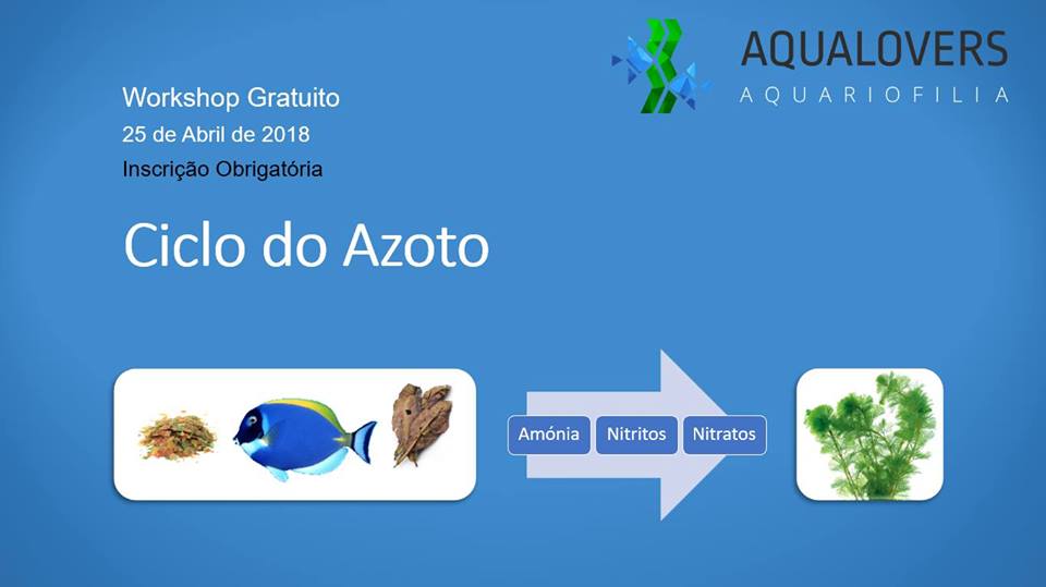 Ciclo do Azoto