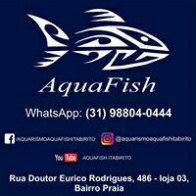 Aquafish17