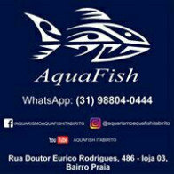 Aquafish17