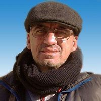 Carlos Manuel P. Guerreiro