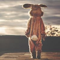 VOXLY