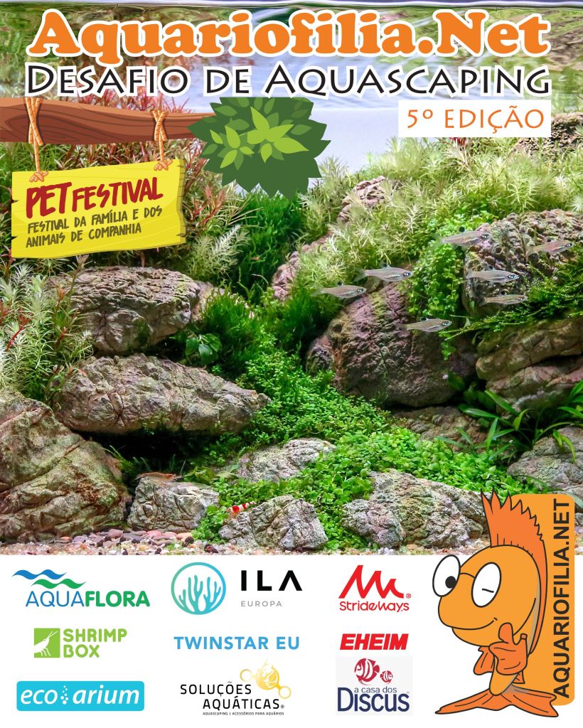 cartaz-desafio5b.jpg